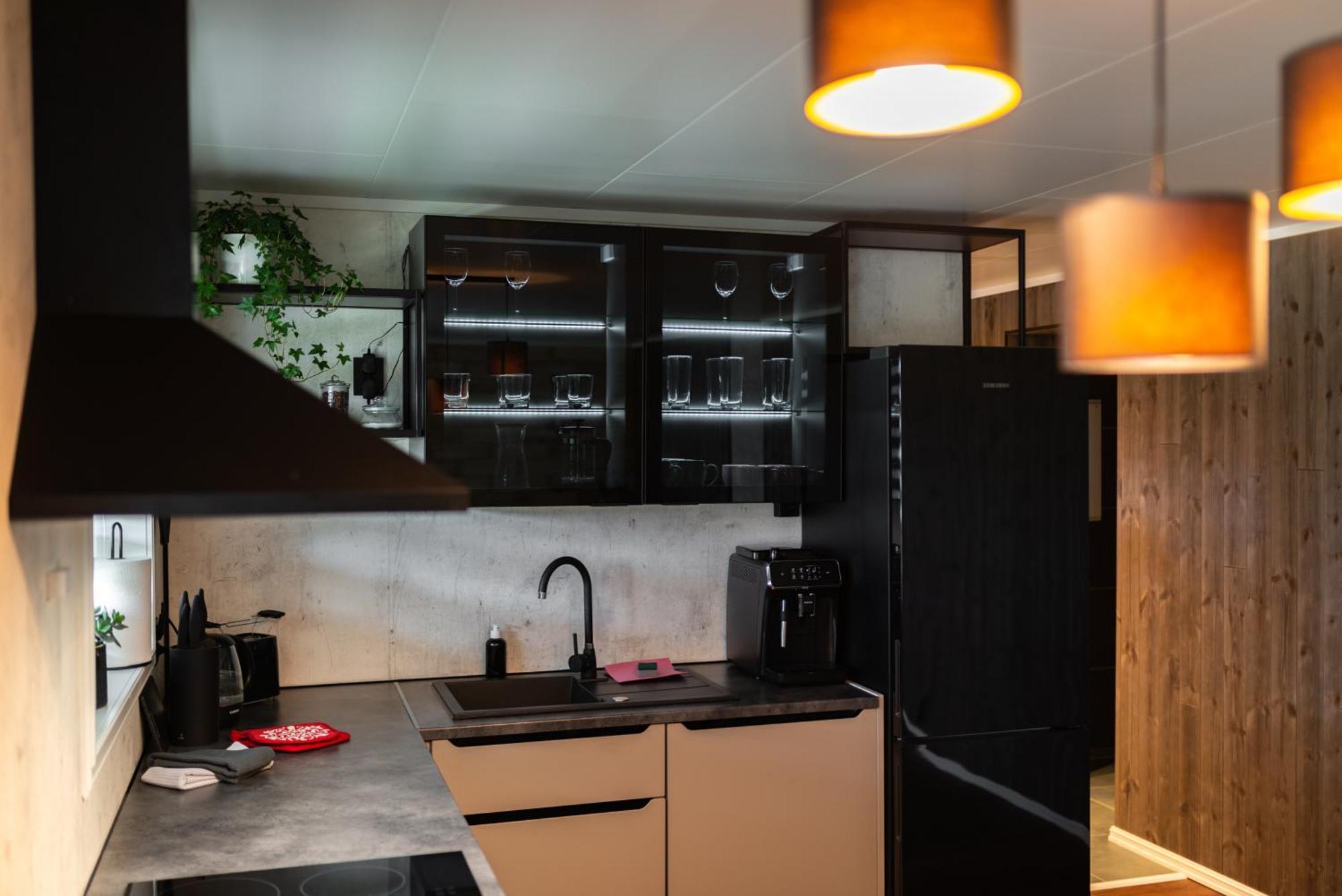 Lofoten Green Studio Ramberg Exterior photo